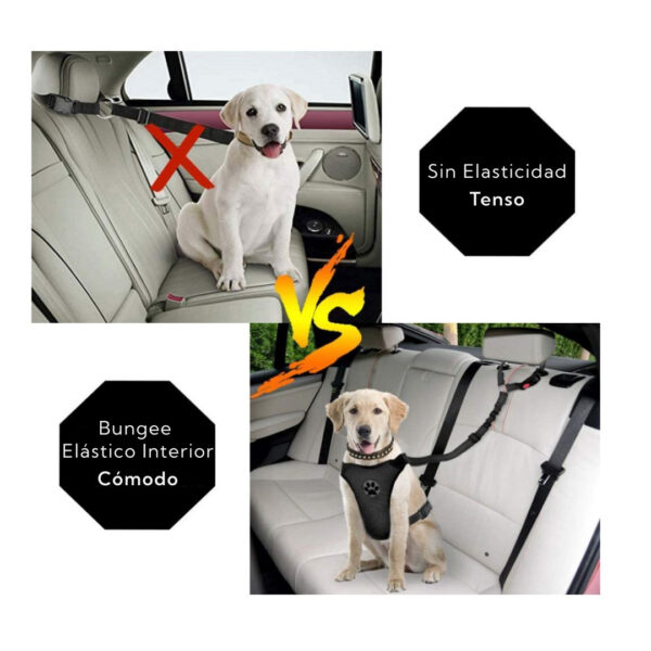 Correa Leash Para Mascotas Pro Outdoor - Imagen 3